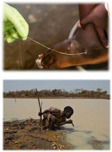 Images of guinea worm (top) and effective avoidance (bottom).